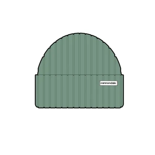 čepice Cannondale lifestyle beanie alo Uni